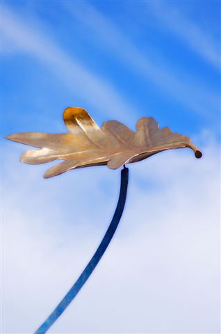 Up and Away by Colin Lambert